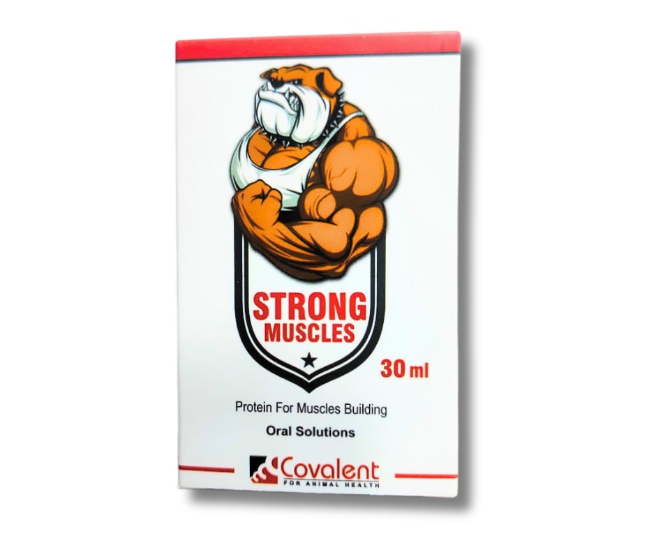 Strong Muscles Protein For Muscles Building Oral For Dogs