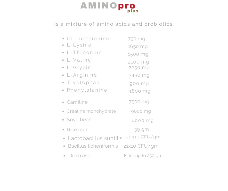 Amino Pro Plus Organic Ingredient 250 gm