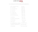 Amino Pro Plus Organic Ingredient 250 gm
