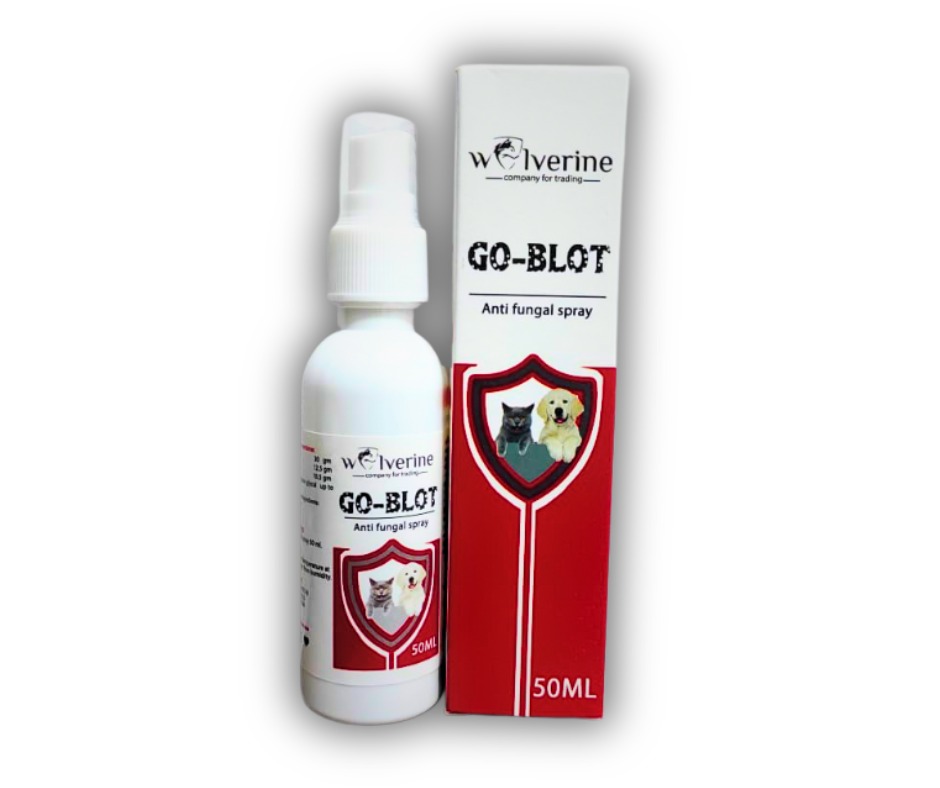 Go - Bolt - Anti Fungal Spray 50ml