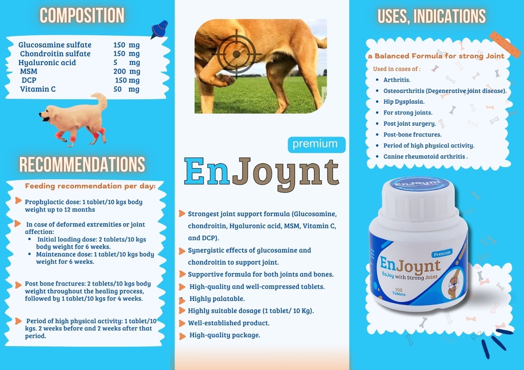 Forvet Enjoynt - Enjoy With Strong Joint - 100 Tablets