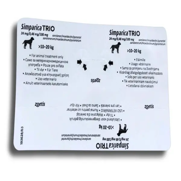 WhatsApp Image 2026-01-20 at 1.36.03 PM.webp