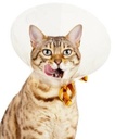 Curavet Collar Snap