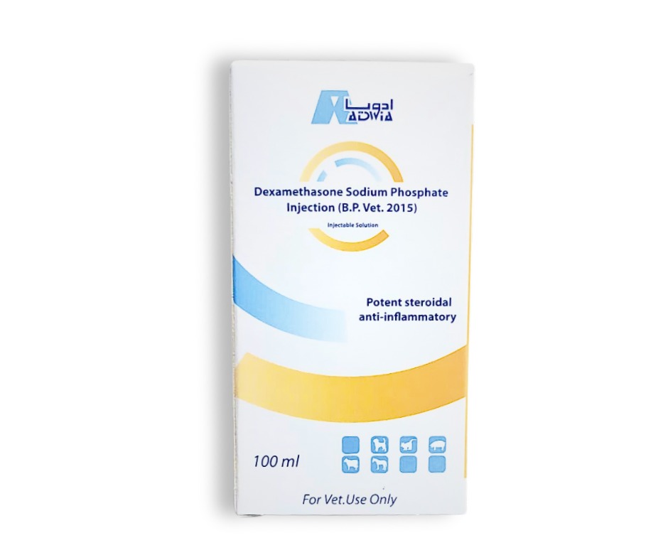 Dexamethasone Sodium Phosphate Injection 100ml