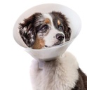Curavet Collar Snap
