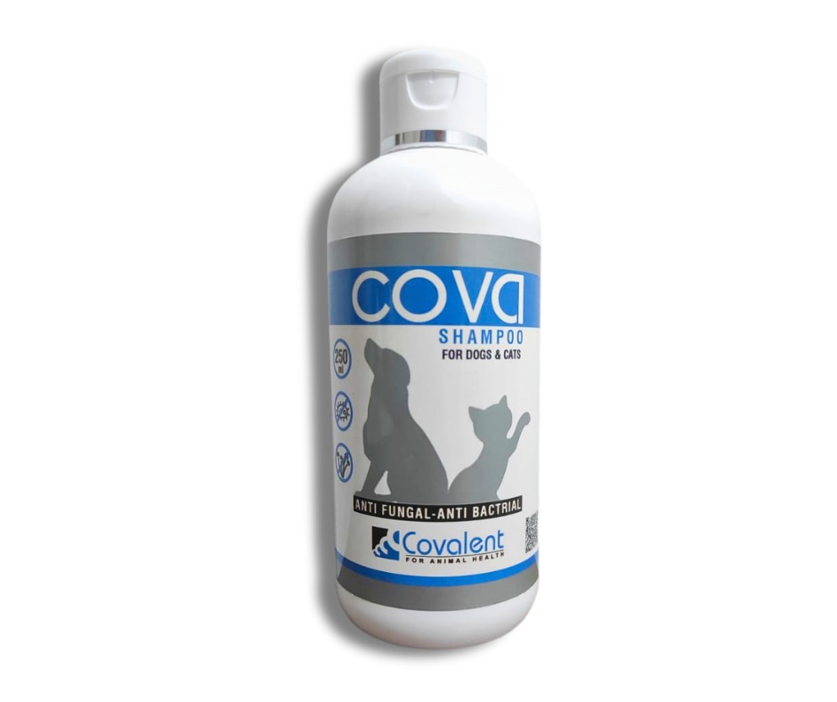 Cova Shampoo Blue Anti Fungal & Anti Bactrial  For Dogs & Cats