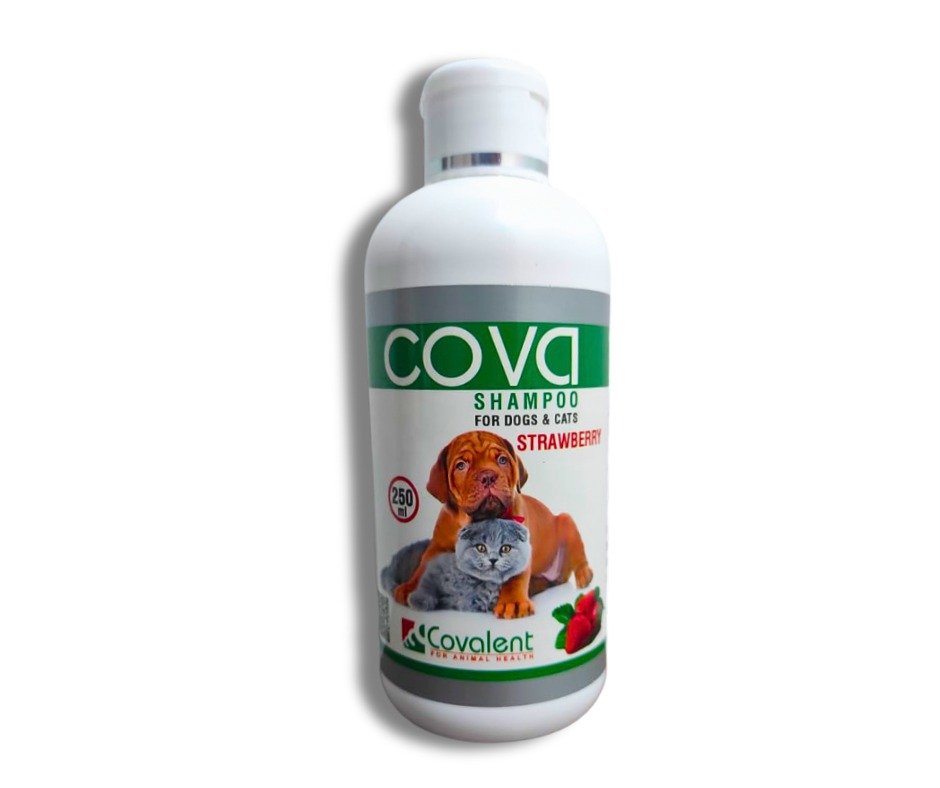 Cova Shampoo Strawberry For Dogs & Cats