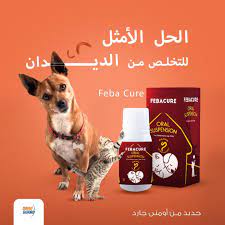 Omni Guard Febacure Oral Suspension 60 ml