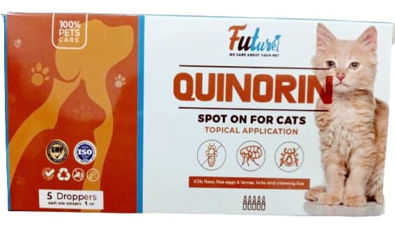 Future Quinorin Spot On For Cats Topical Application 1ml x 5 Ampules