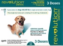 Revolution 12% Dog 240 mg - 20-40kg  - 3 Doses