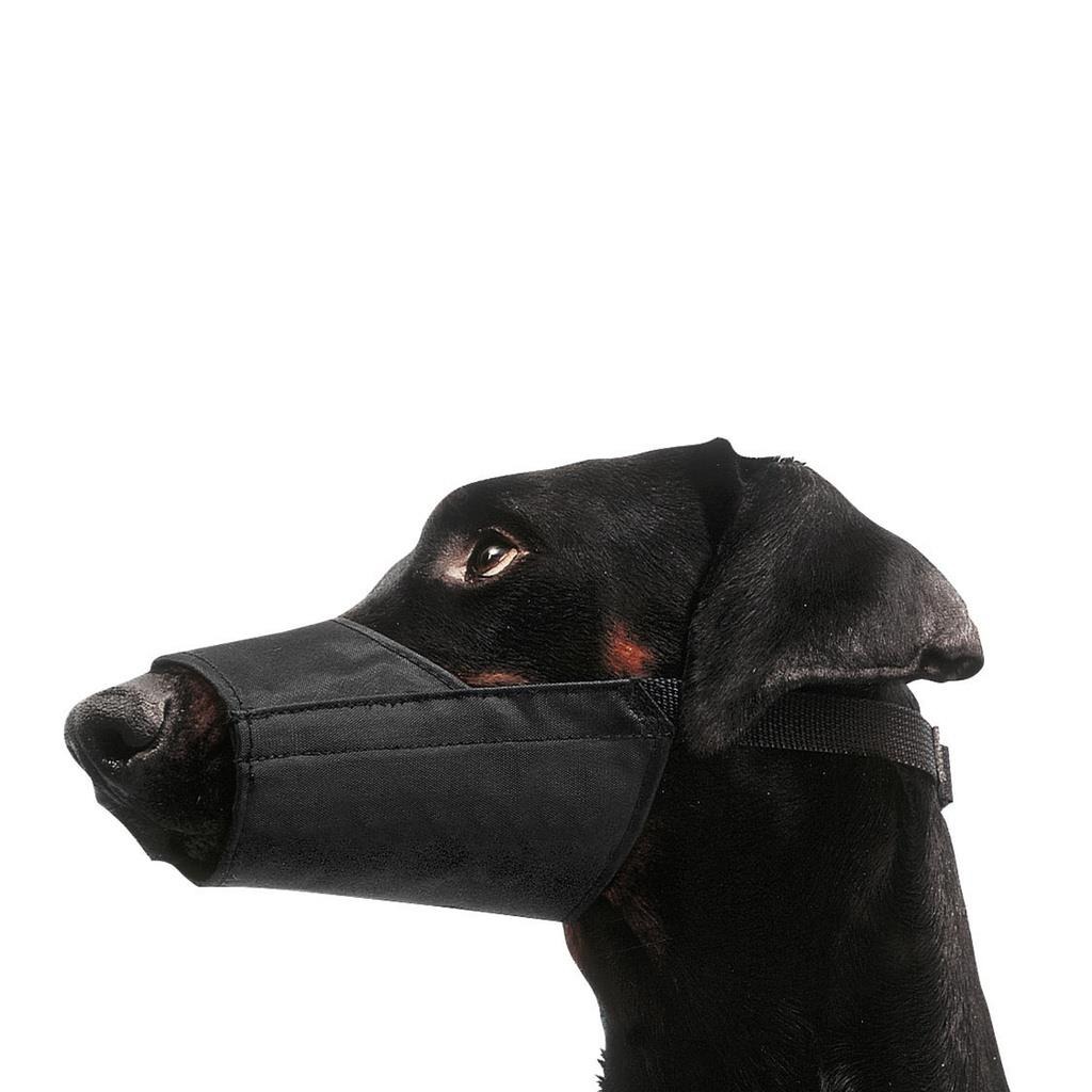 Dog Set Of Nylon Muzzles Consisting Of Sizes 0-5:1.