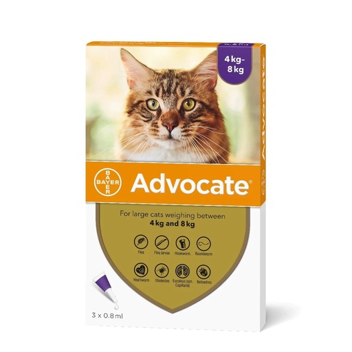 Advocate Spot On For Large Cats 3 * 0.8 ml  Over 4kg
