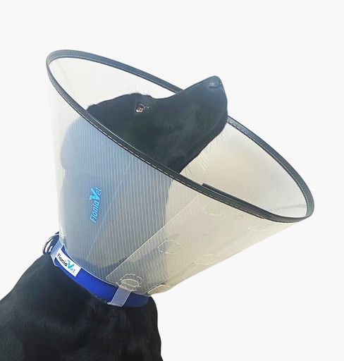 Fioniavet Collar , Snap N Go Comfort , 10 cm .