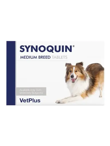 VetPlus Synoquin Medium (10 -25 KG) Breed  Dog Supplement Tablets - 30 Tablets  